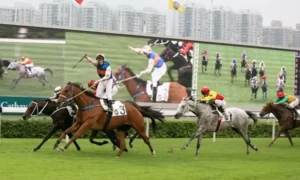 Chiến Lược Tìm Hiểu Cá Cược Đua Ngựa Cat368 Đỉnh Cao Siêu Lợi Nhuận