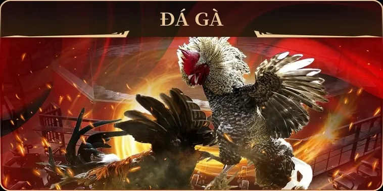Kinh Nghiệm Cách Chơi Đá Gà GA28 Tại Cat368 Luôn Bất Bại